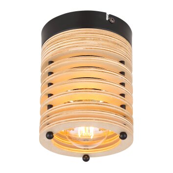 Plafonnier Globo RUTH Noir, 1 lumière