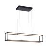 Suspension Paul-Neuhaus CONTURA LED Noir, 4 lumières