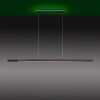 Suspension Paul-Neuhaus Q-ARIAN LED Anthracite, 4 lumières, Télécommandes