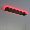 Suspension Paul-Neuhaus Q-ARIAN LED Anthracite, 4 lumières, Télécommandes