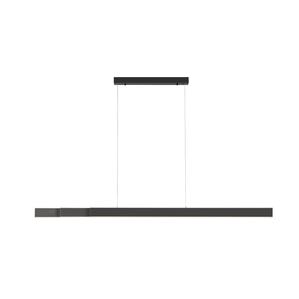 Suspension Paul-Neuhaus PURE-LUME LED Anthracite, 6 lumières main product photo