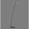 Lampadaire Paul-Neuhaus TITUS Anthracite, 1 lumière Lampadaire Paul-Neuhaus TITUS Anthracite, 1 lumière