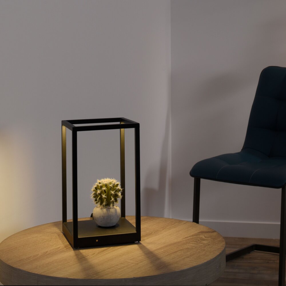 Lampe de table Paul-Neuhaus CONTURA LED Noir, 2 lumières main product photo