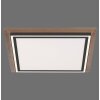 Plafonnier Paul-Neuhaus PALMA LED Écru, Noir, 2 lumières, Télécommandes