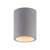 Plafonnier Paul-Neuhaus ETON Gris, Noir, 1 lumière