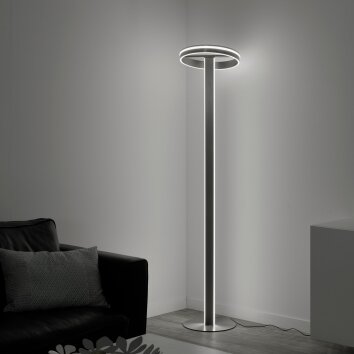 Lampadaire Paul-Neuhaus Q-VITO LED Acier brossé, 3 lumières, Télécommandes