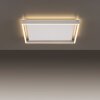 Plafonnier Paul-Neuhaus Q-KAAN LED Acier brossé, 2 lumières, Télécommandes