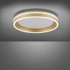 Plafonnier Paul-Neuhaus Q-VITO LED Laiton, 1 lumière, Télécommandes