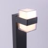 Borne lumineuse Paul-Neuhaus CARA LED Anthracite, 2 lumières