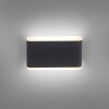 Applique murale d'extérieur Paul-Neuhaus ELSA LED Anthracite, 2 lumières