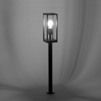 Borne lumineuse Paul-Neuhaus EMIL Anthracite, 1 lumière