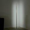 Lampadaire Leuchten-Direkt HENRY LED Acier brossé, 1 lumière, Télécommandes