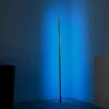 Lampadaire Leuchten-Direkt HENRY LED Acier brossé, 1 lumière, Télécommandes