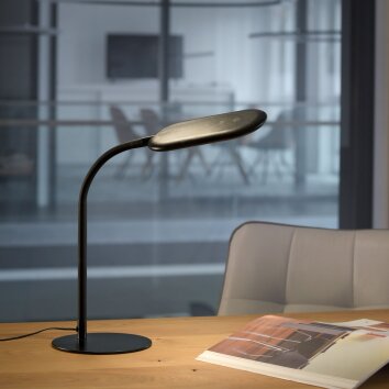Lampe de table Leuchten-Direkt KELLY LED Noir, 1 lumière