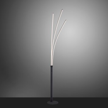 Lampadaire Leuchten-Direkt MAJA LED Noir, 1 lumière