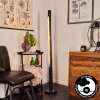 Lampadaire Rodeche LED Nickel mat, Noir, 1 lumière