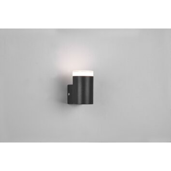 Applique murale Trio-Leuchten Ray LED Noir, 1 lumière