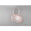 Plafonnier Trio-Leuchten Jive LED Nickel mat, 1 lumière, Télécommandes