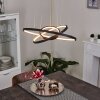 Suspension Preci LED Noir, 1 lumière