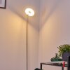 Lampadaire Umag LED Acier inoxydable, 1 lumière