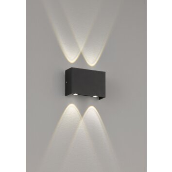 Applique murale d'extérieur Fischer-Honsel Nairobi LED Noir, 4 lumières