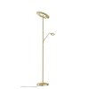 Lampadaire Fischer-Honsel Dent LED Laiton, 1 lumière