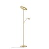 Lampadaire Fischer-Honsel Dent LED Laiton, 1 lumière
