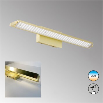 Applique murale Fischer-Honsel Pare TW LED Laiton, 1 lumière