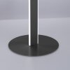 Lampadaire Paul-Neuhaus Q-VITO LED Anthracite, 3 lumières, Télécommandes