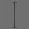 Lampadaire Paul-Neuhaus Q-VITO LED Anthracite, 3 lumières, Télécommandes