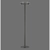 Lampadaire Paul-Neuhaus Q-VITO LED Anthracite, 3 lumières, Télécommandes