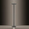 Lampadaire Paul-Neuhaus Q-VITO LED Anthracite, 3 lumières, Télécommandes