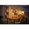 LED White Filament Globe E27 7 Watt 2100 Kelvin 600 Lumen Philips Hue