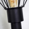 Borne lumineuse Solda Noir, 3 lumières