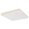Plafonnier Globo RAINA LED Blanc, 1 lumière
