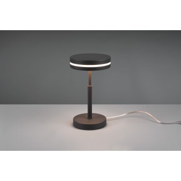 Lampe de table Trio-Leuchten Franklin LED Anthracite, 1 lumière