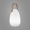Lampe à poser FHL-easy Ruby LED Blanc, 1 lumière, Télécommandes, Changeur de couleurs