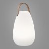Lampe à poser FHL-easy Ruby LED Blanc, 1 lumière, Télécommandes, Changeur de couleurs