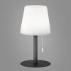 Lampe à poser FHL-easy Garden LED Anthracite, 1 lumière, Changeur de couleurs