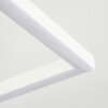 Plafonnier Vaseux LED Blanc, 1 lumière