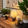 Lampe de table Tapona Brun foncé, Nickel mat, 1 lumière