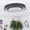 Plafonnier Page LED Noir, Blanc, 2 lumières, Télécommandes, Changeur de couleurs