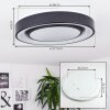 Plafonnier Page LED Noir, Blanc, 2 lumières, Télécommandes, Changeur de couleurs