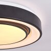 Plafonnier Page LED Noir, Blanc, 2 lumières, Télécommandes, Changeur de couleurs