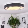 Plafonnier Page LED Noir, Blanc, 2 lumières, Télécommandes, Changeur de couleurs
