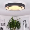 Plafonnier Page LED Noir, Blanc, 2 lumières, Télécommandes, Changeur de couleurs
