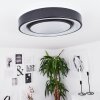 Plafonnier Page LED Noir, Blanc, 2 lumières, Télécommandes, Changeur de couleurs