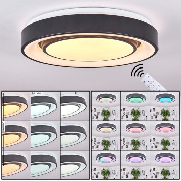 Plafonnier Page LED Noir, Blanc, 2 lumières, Télécommandes, Changeur de couleurs