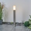 Borne lumineuse Caserta Nickel mat, Blanc, 1 lumière