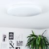 Plafonnier Weesen LED Blanc, 1 lumière, Détecteur de mouvement